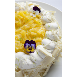 Autour Du Sans Gluten - Samedi 27 Mai de 9:00 à 12:00