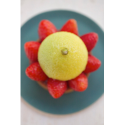 Tarte Fraise Yuzu 