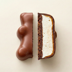 Nature enrobés de chocolat au lait