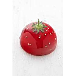 Charlotte Fraise Individuelle 